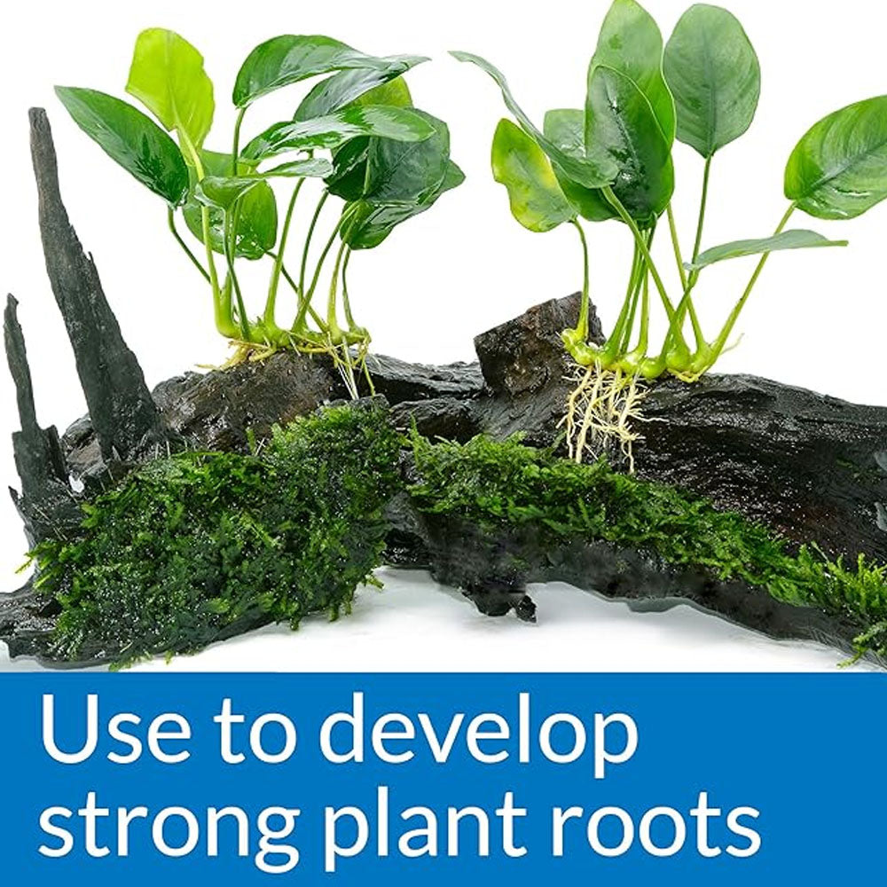 API Root Tabs (10pk)