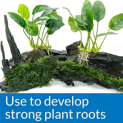 API Root Tabs (10pk)