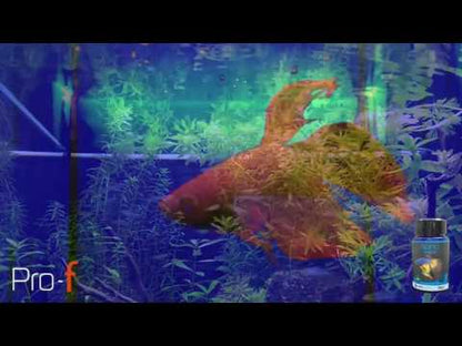 Pro-F Nano Tropical