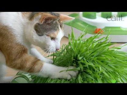 Senses 2.0 Grass Planter