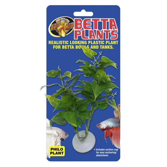 Betta Plant Philo