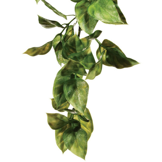 Plastic Amapallo Plants