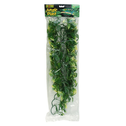 Plastic Amapallo Plants