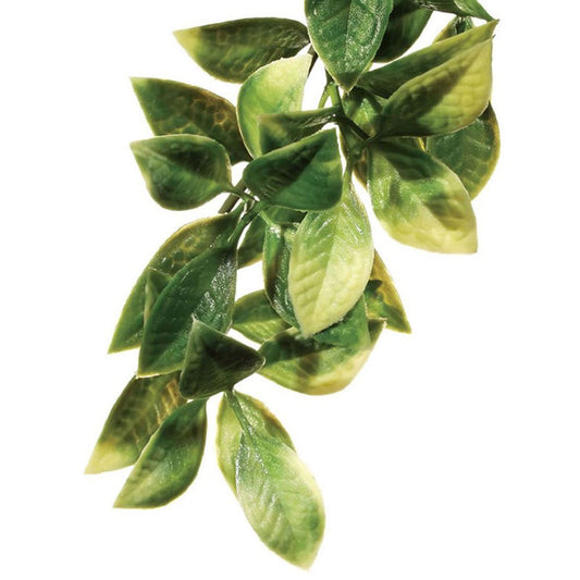 Plastic Mandarin Plants