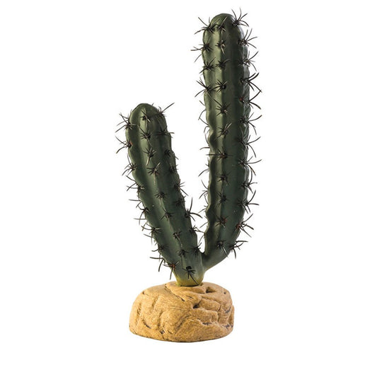 Finger Cactus