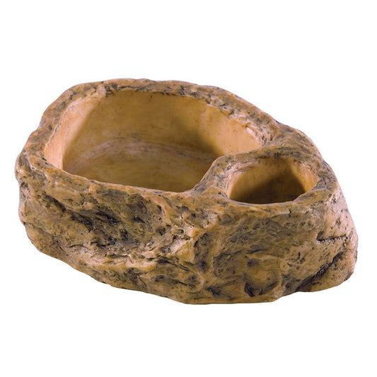 Gecko Dish
