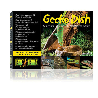 Gecko Dish