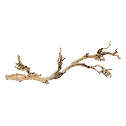 Forest Branches