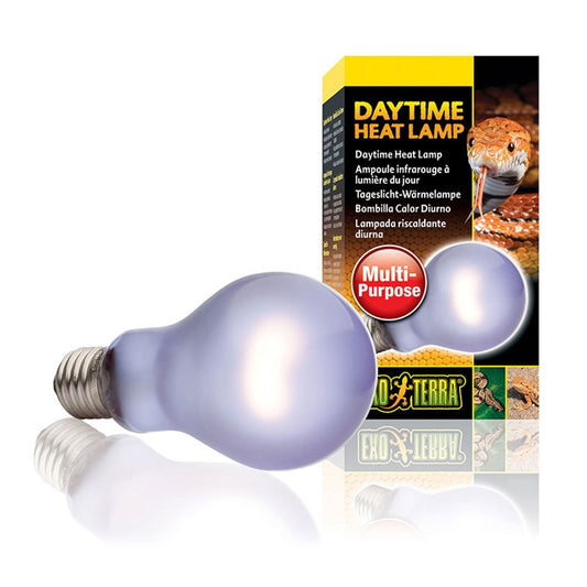 Daytime Heat Lamps