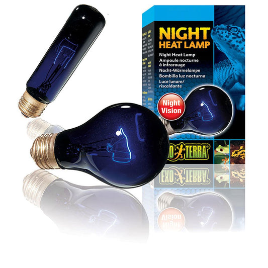 Night Heat Lamps