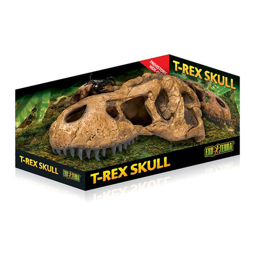 T-Rex Skull