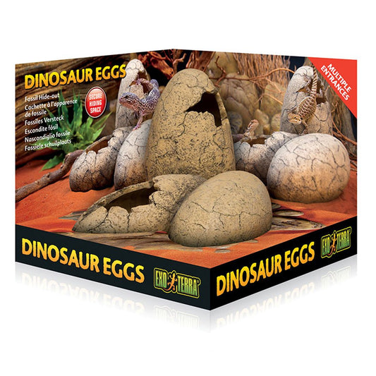 Dinosaur Eggs Fossil Hide-Out