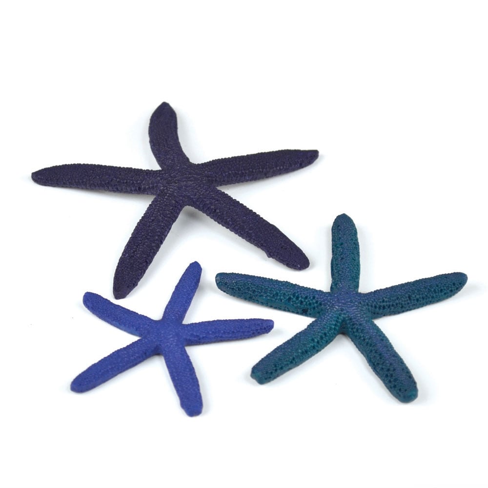 Star Fish