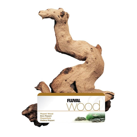 Mopani Driftwood