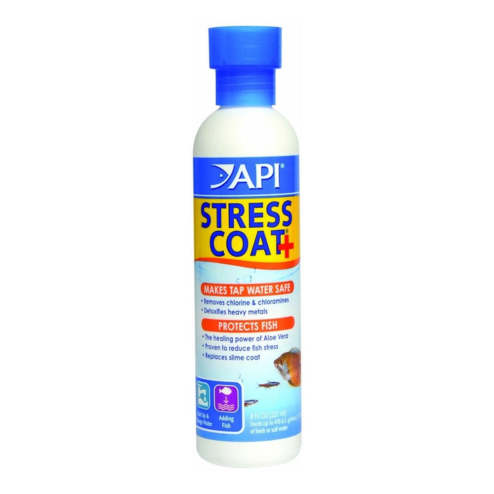 How to Reduce Fish Stress: Effective Tips for Healthy Aquariums