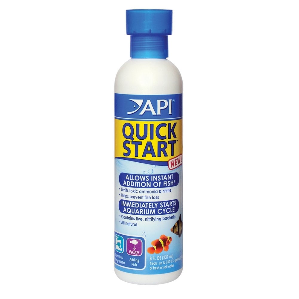 API Quick Start