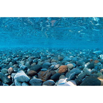 River Rock / Sea of Green Aquarium Background