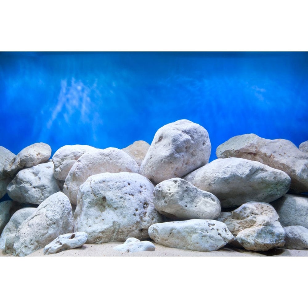 Aquatic Garden / Bright Stone Aquarium Background