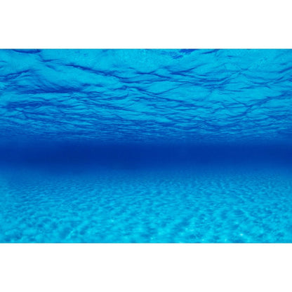Seascape / Natural Mystic Aquarium Background
