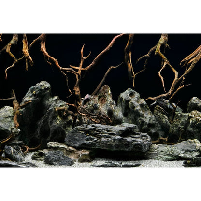 Seascape / Natural Mystic Aquarium Background