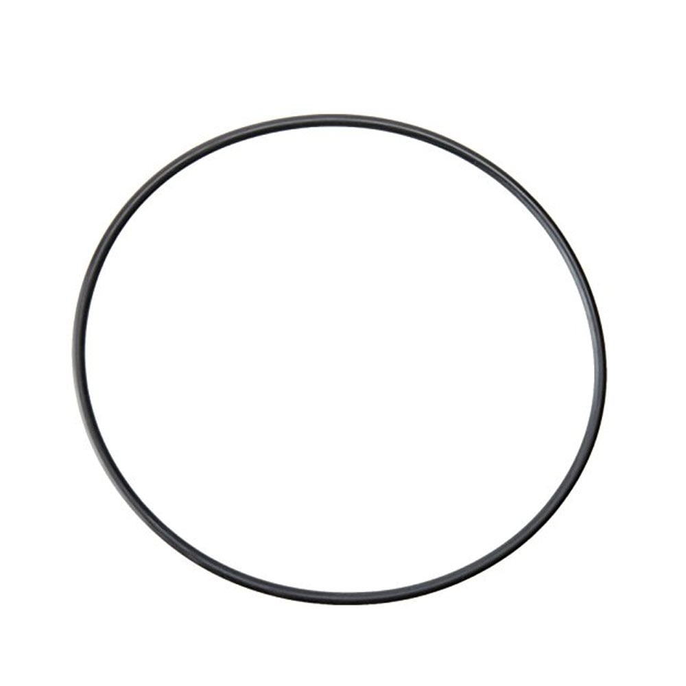 External Filter Motor Seal Ring/Gasket