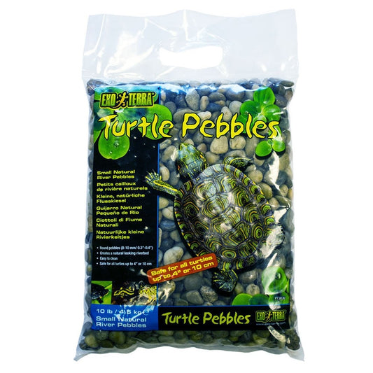 Turtle Pebbles