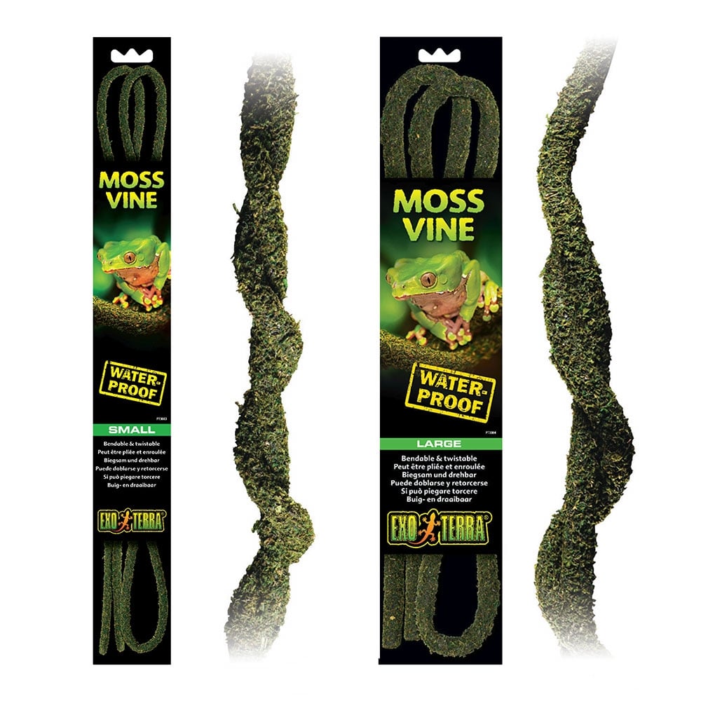 Moss Vines