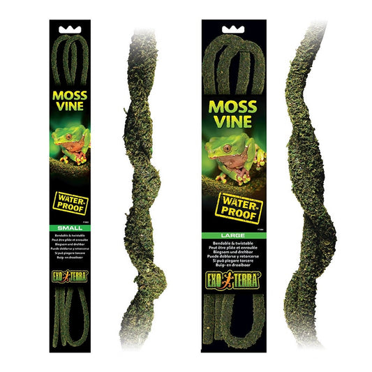 Moss Vines