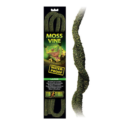 Moss Vines
