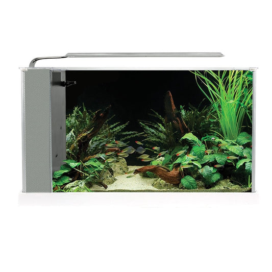 Spec Aquarium 19L - White