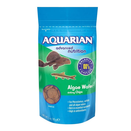 Algae Wafers