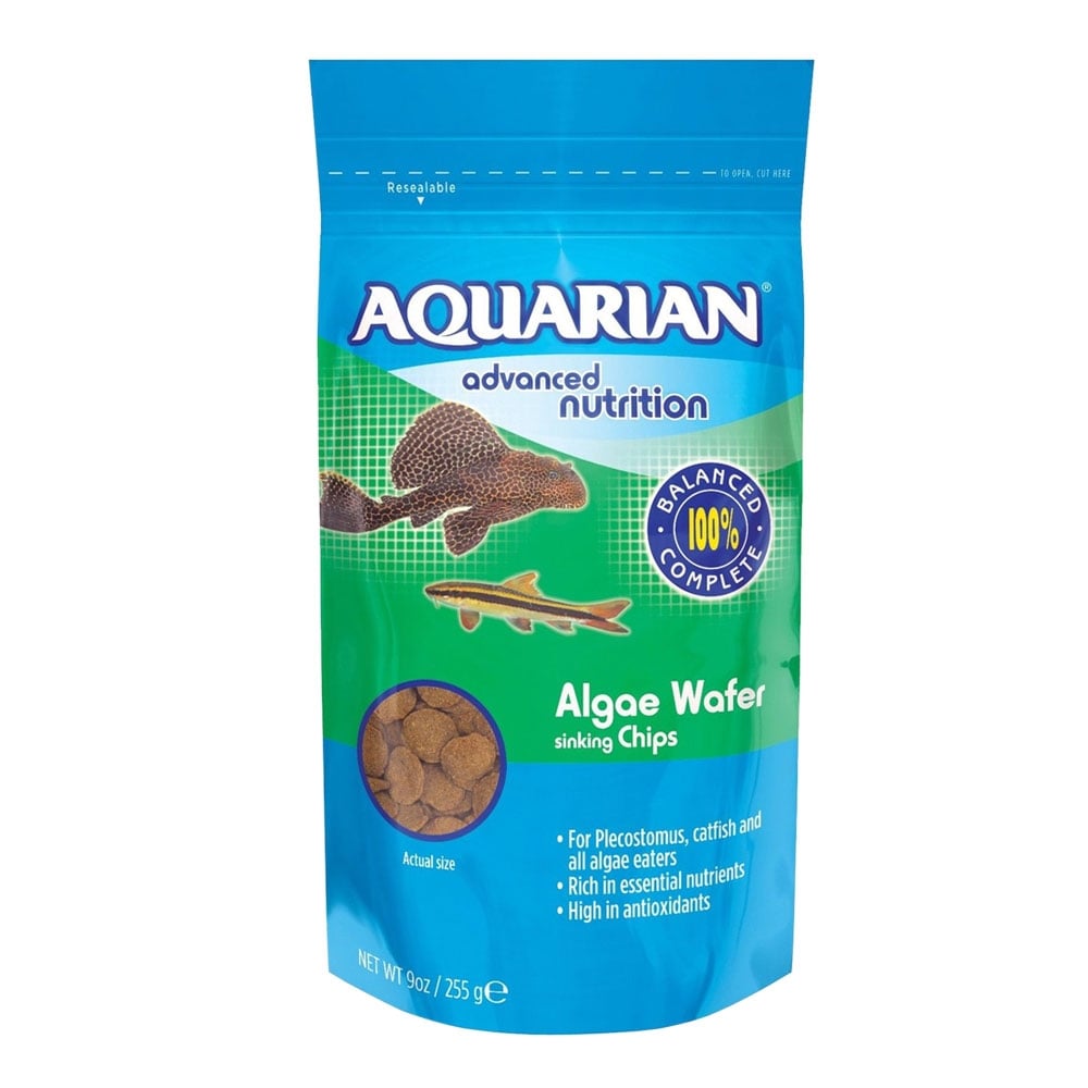 Algae Wafers