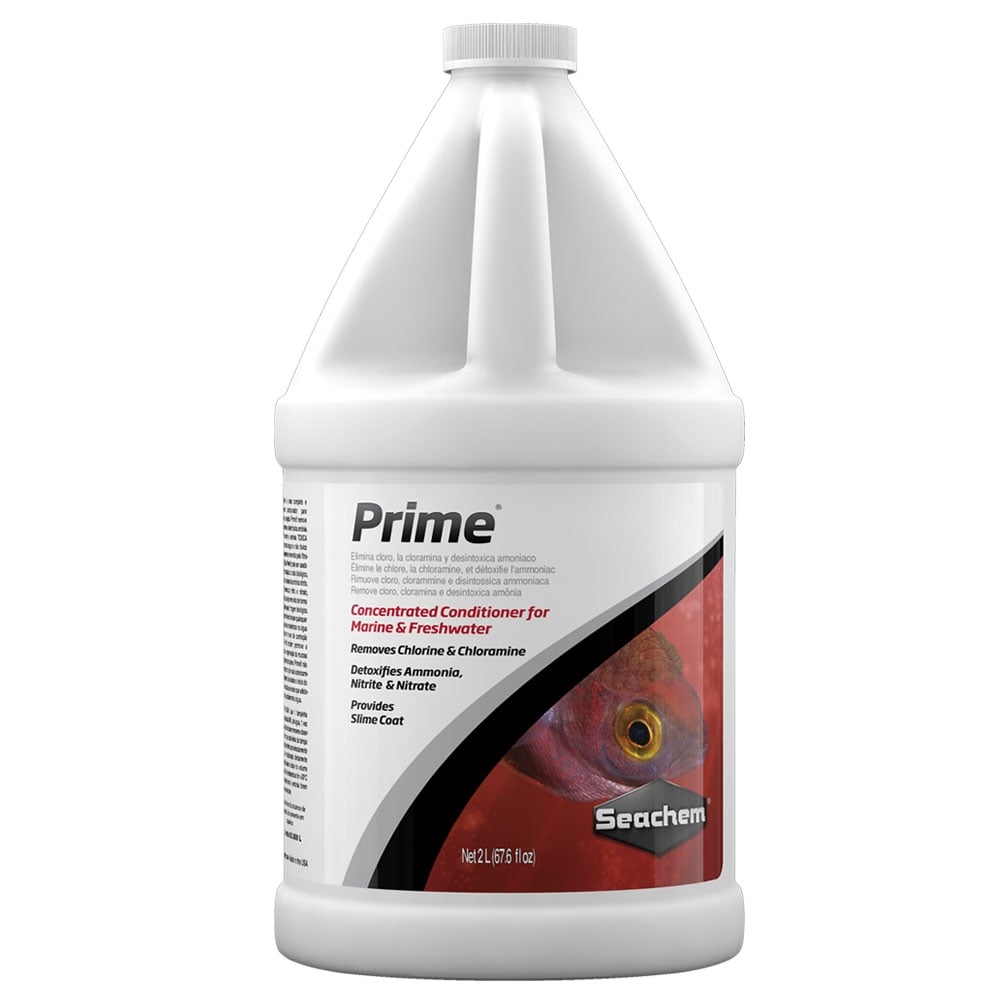 Prime