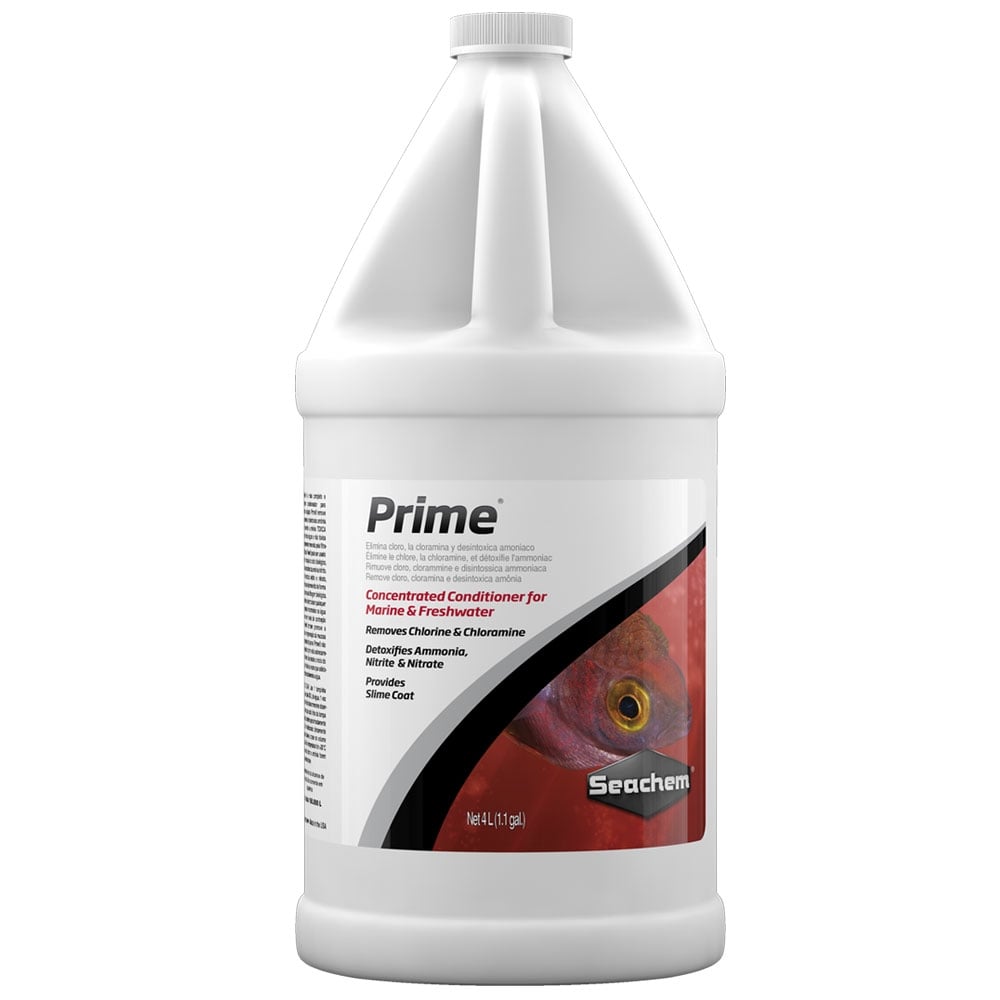 Prime