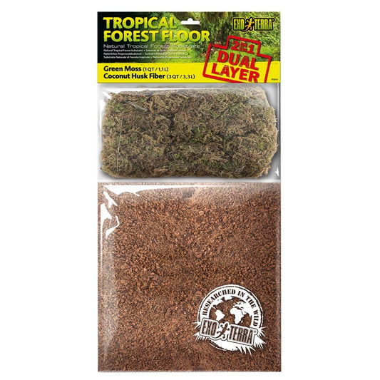 Tropical Forest Floor Dual Layer