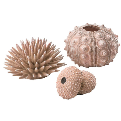 Sea Urchins Set - Natural