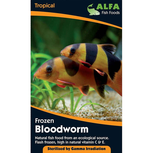 Frozen Bloodworm Blister Pack 100g