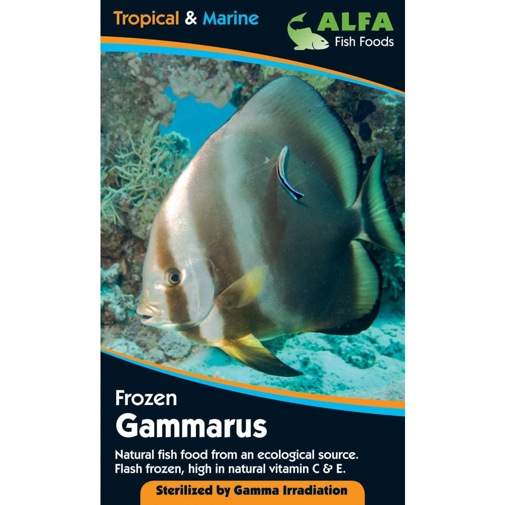 Alfa Frozen Gammarus Blister Pack 100G - Pond Planet