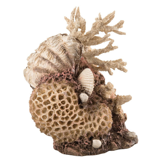 Natural Coral Shells Ornament