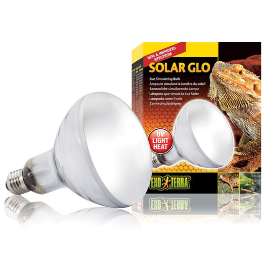 Solar Glo Lamps