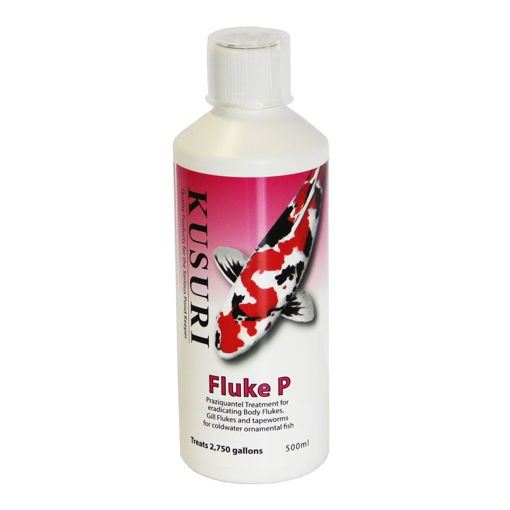 Fluke-P