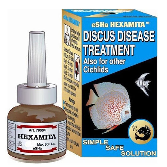 Hexamita
