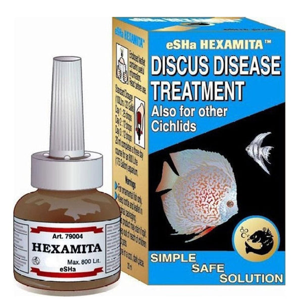 Discus Disease Prevention: Essential Tips for Healthy Fish Care