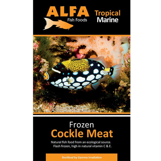 Frozen Cockle Meat Blister Pack 100g