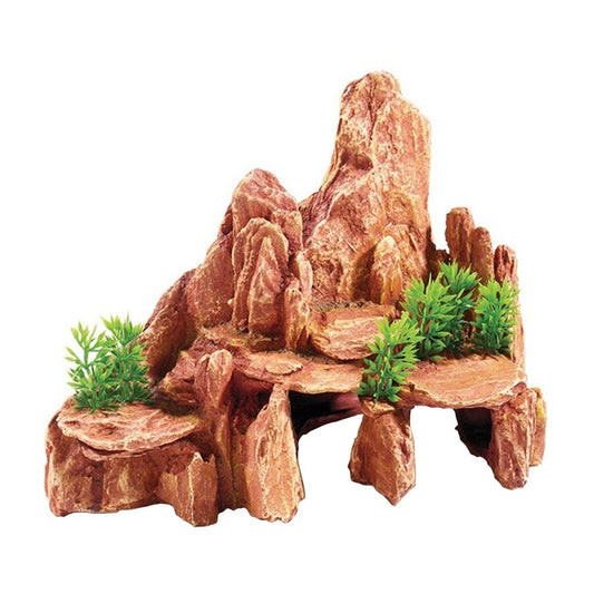 Arizona Rock