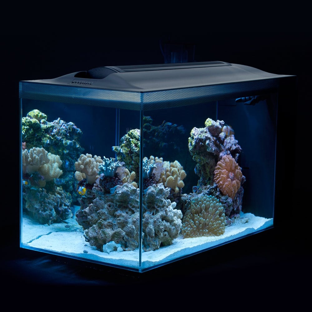 Evo Aquarium Kit