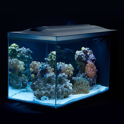 Evo Aquarium Kit