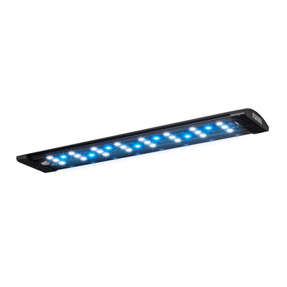 Evo Aquarium Kit