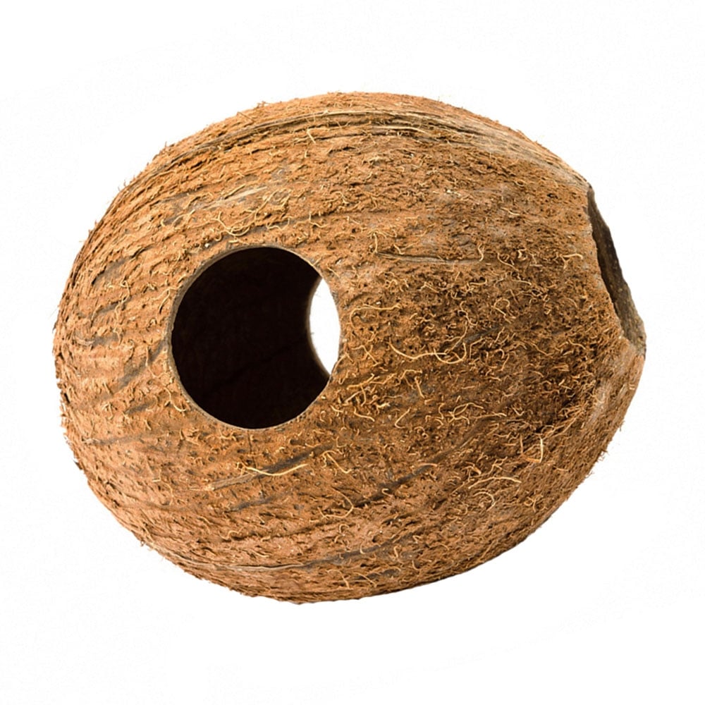 Cocos Cava Hiding Caves