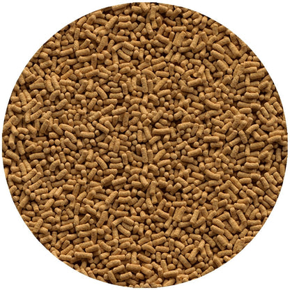 Wheatgerm Sticks